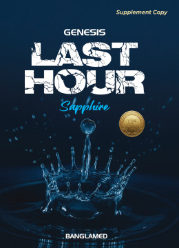 Last Hour Sapphire (Supplement) Book