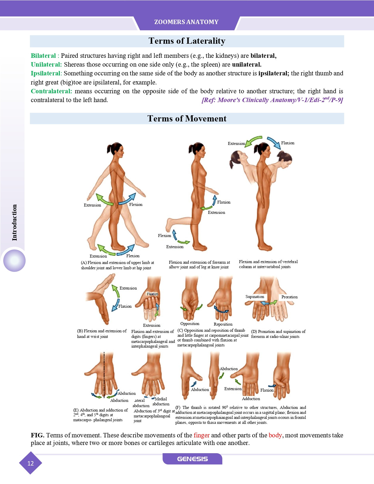 GENESIS Zoomers Anatomy  (Premium Edition) Vol- I - IV information image