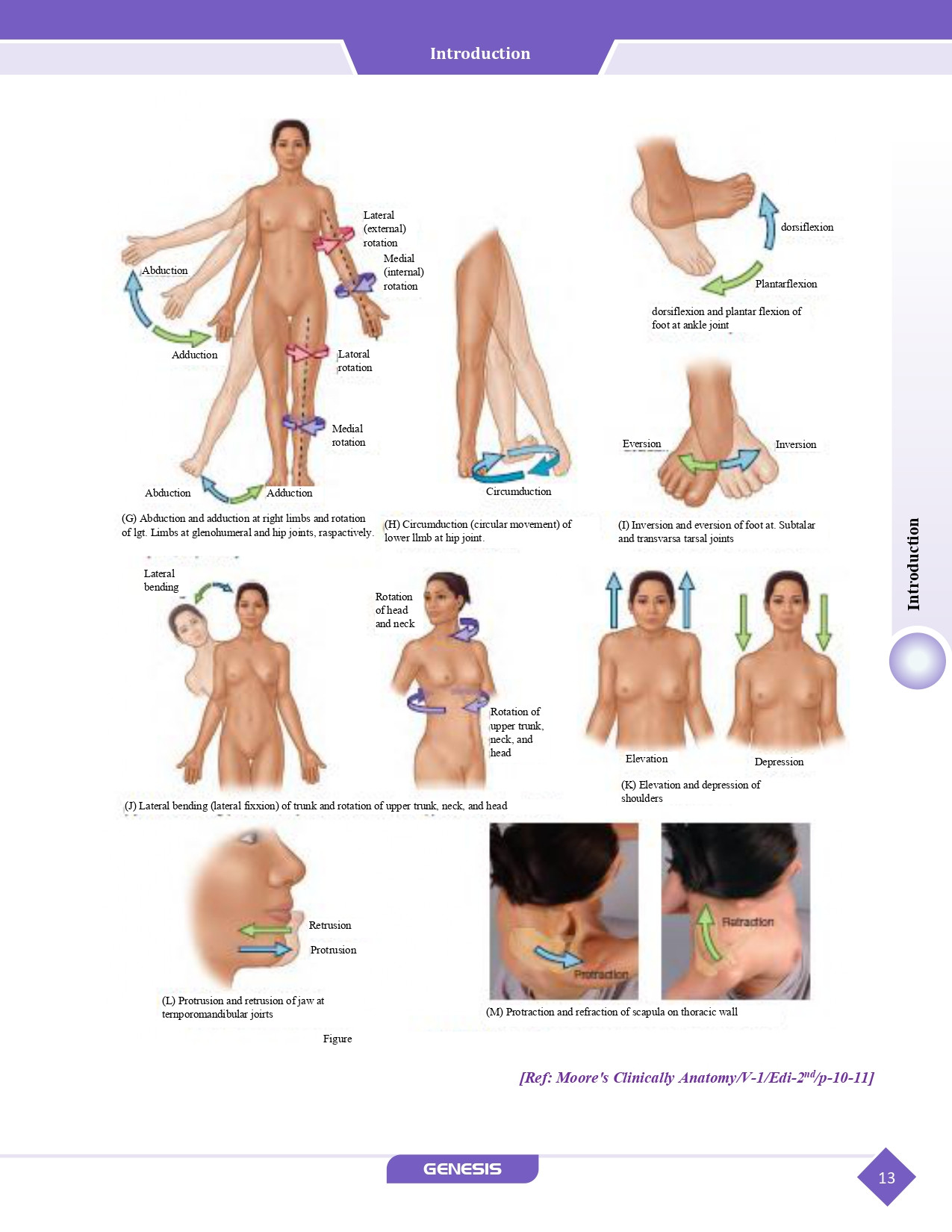 GENESIS Zoomers Anatomy  (Premium Edition) Vol- I - IV information image
