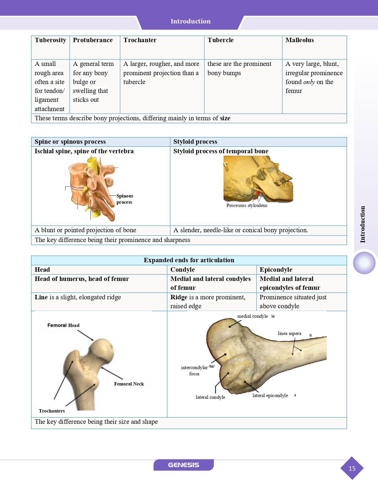 GENESIS Zoomers Anatomy  (Premium Edition) Vol- I - IV information image