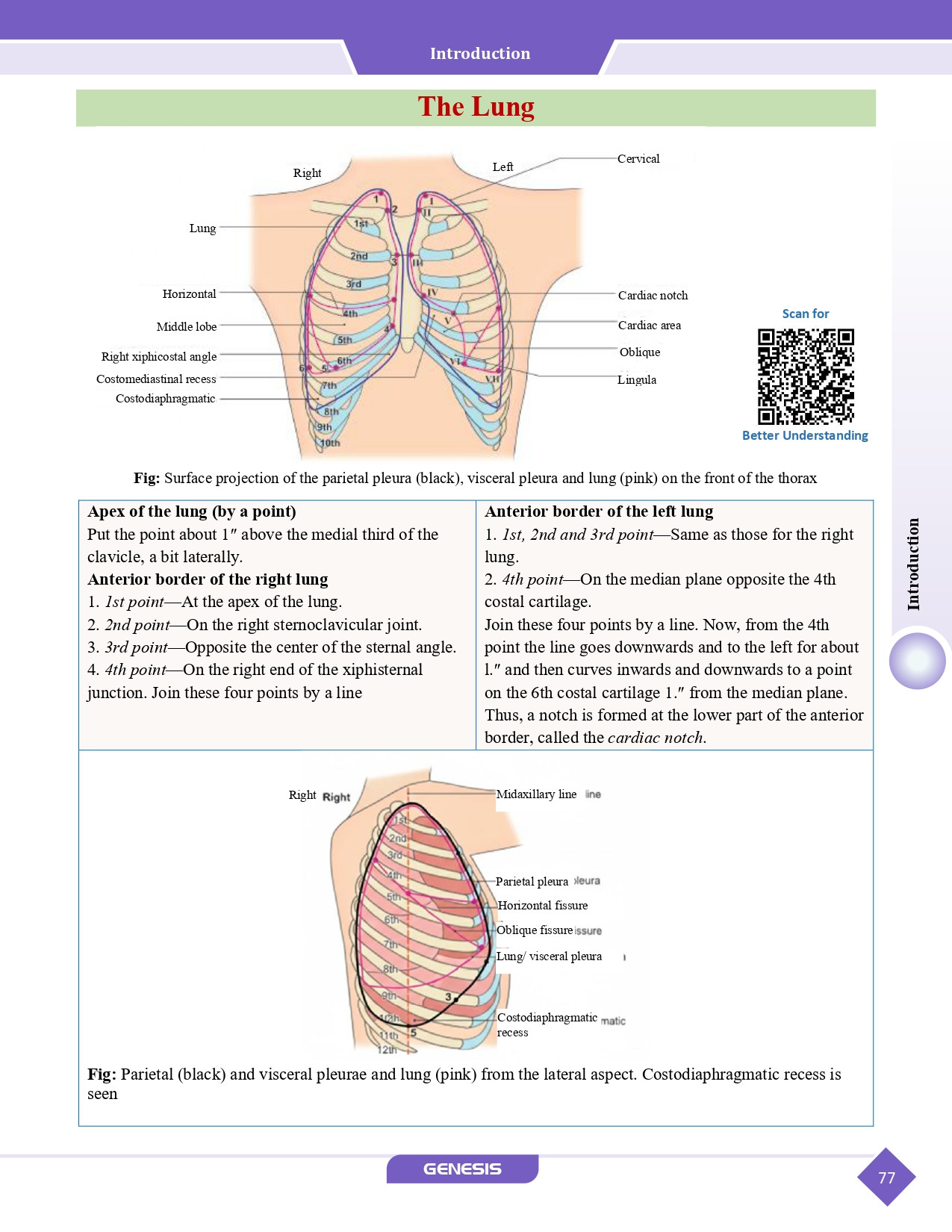 GENESIS Zoomers Anatomy  (Premium Edition) Vol- I - IV information image