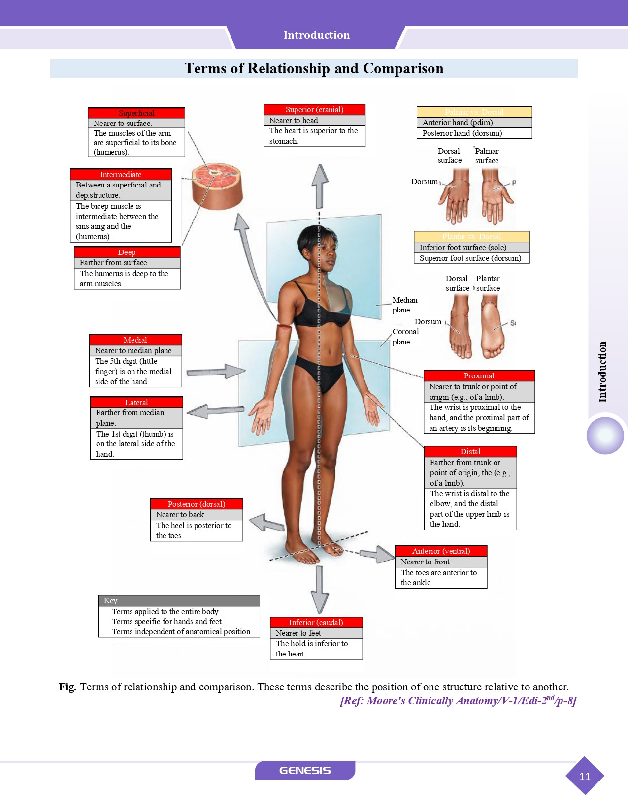 GENESIS Zoomers Anatomy  (Premium Edition) Vol- I - IV information image