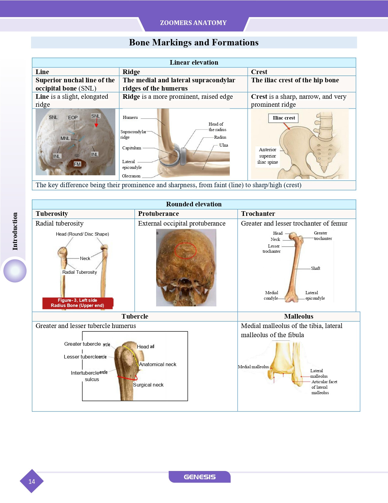 GENESIS Zoomers Anatomy  (Premium Edition) Vol- I - IV information image