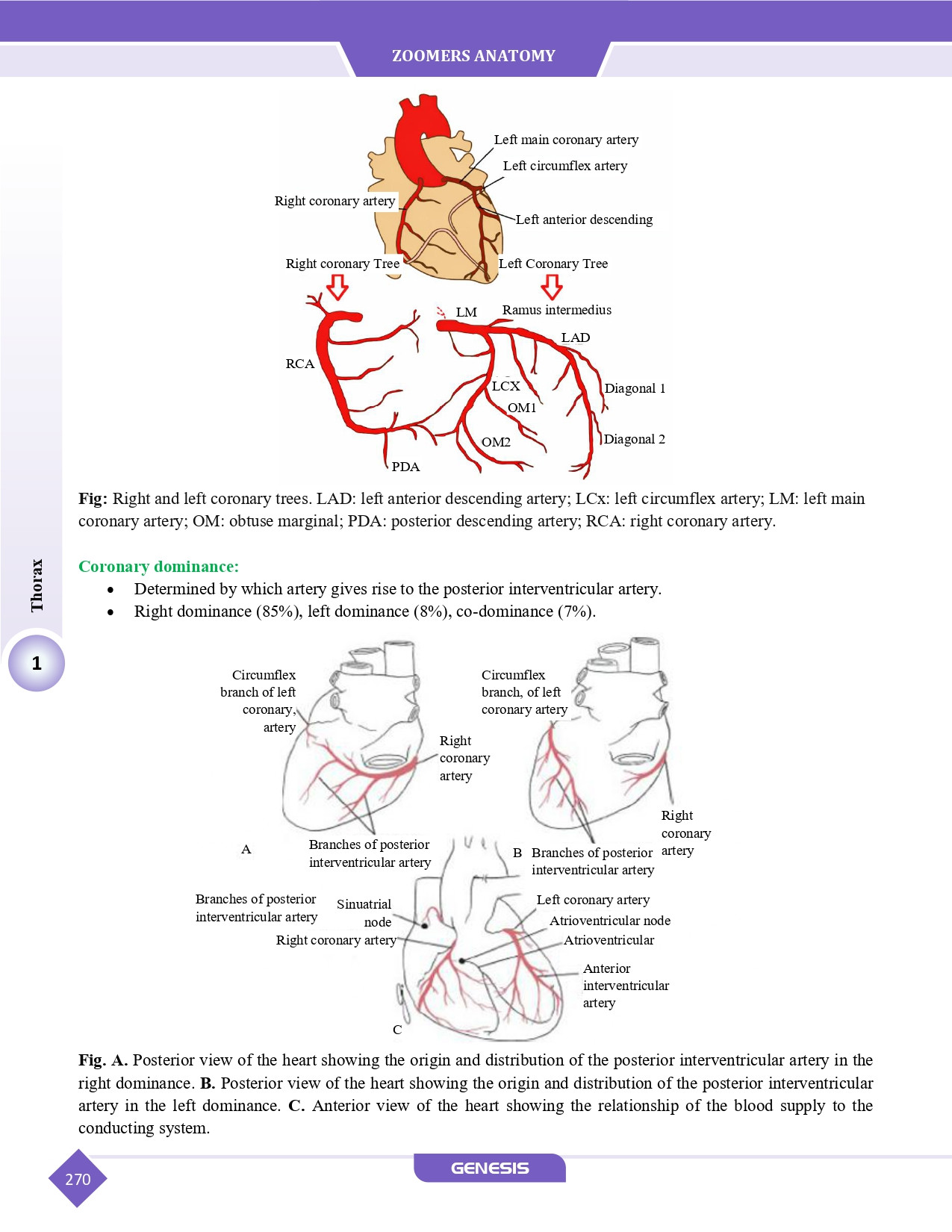 GENESIS Zoomers Anatomy  (Premium Edition) Vol- I - IV information image