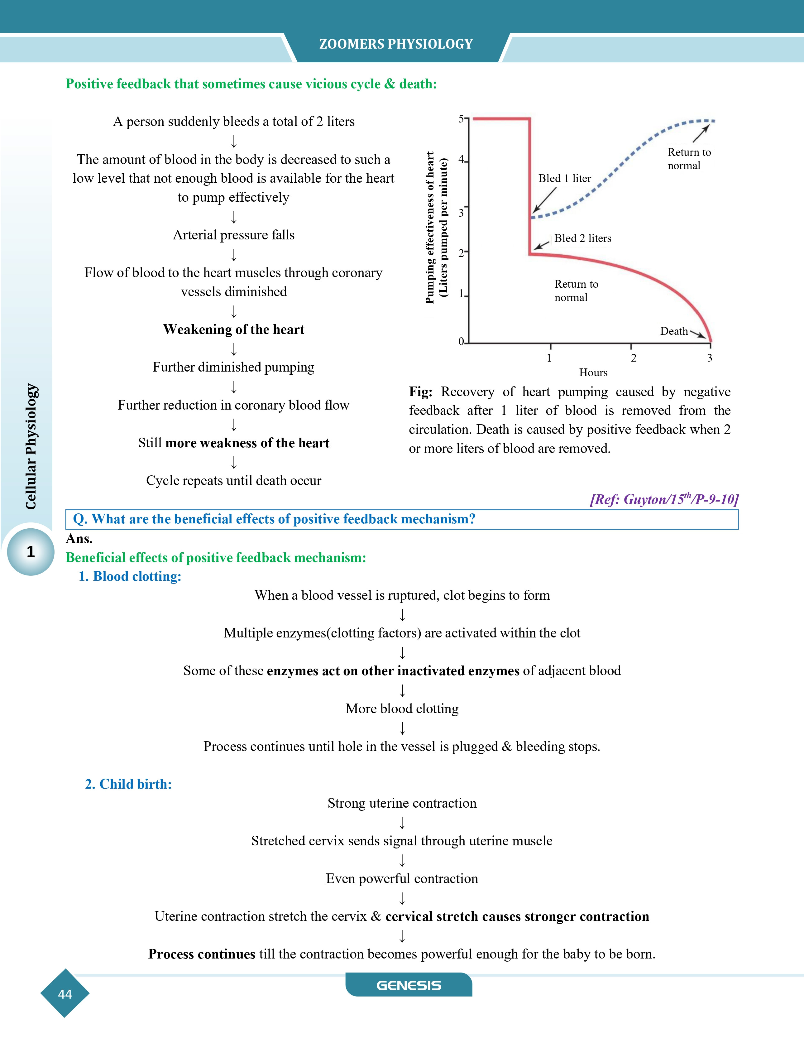 GENESIS Zoomers Physiology (Premium Edition) information image