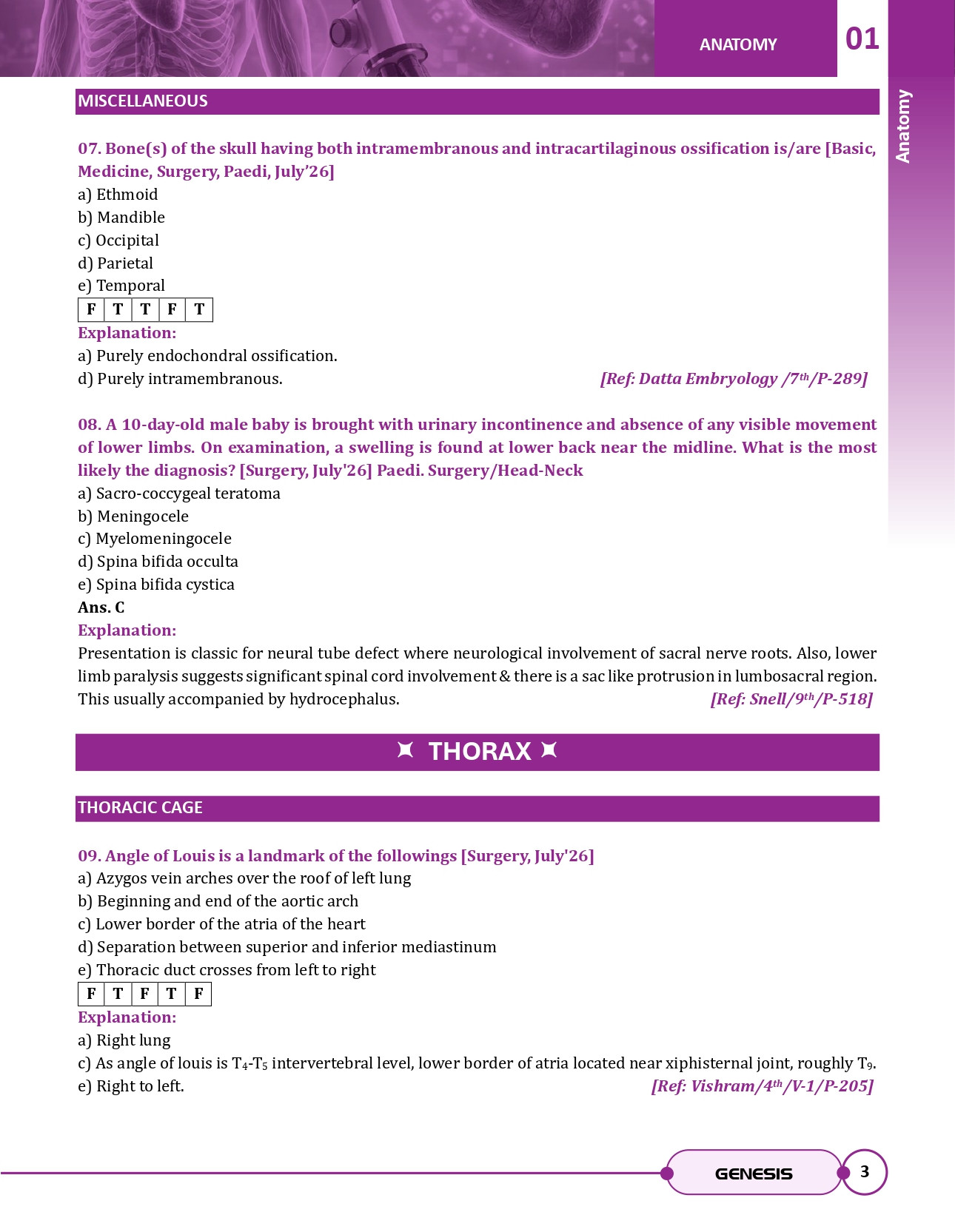 Last Hour Sapphire (Supplement) information image