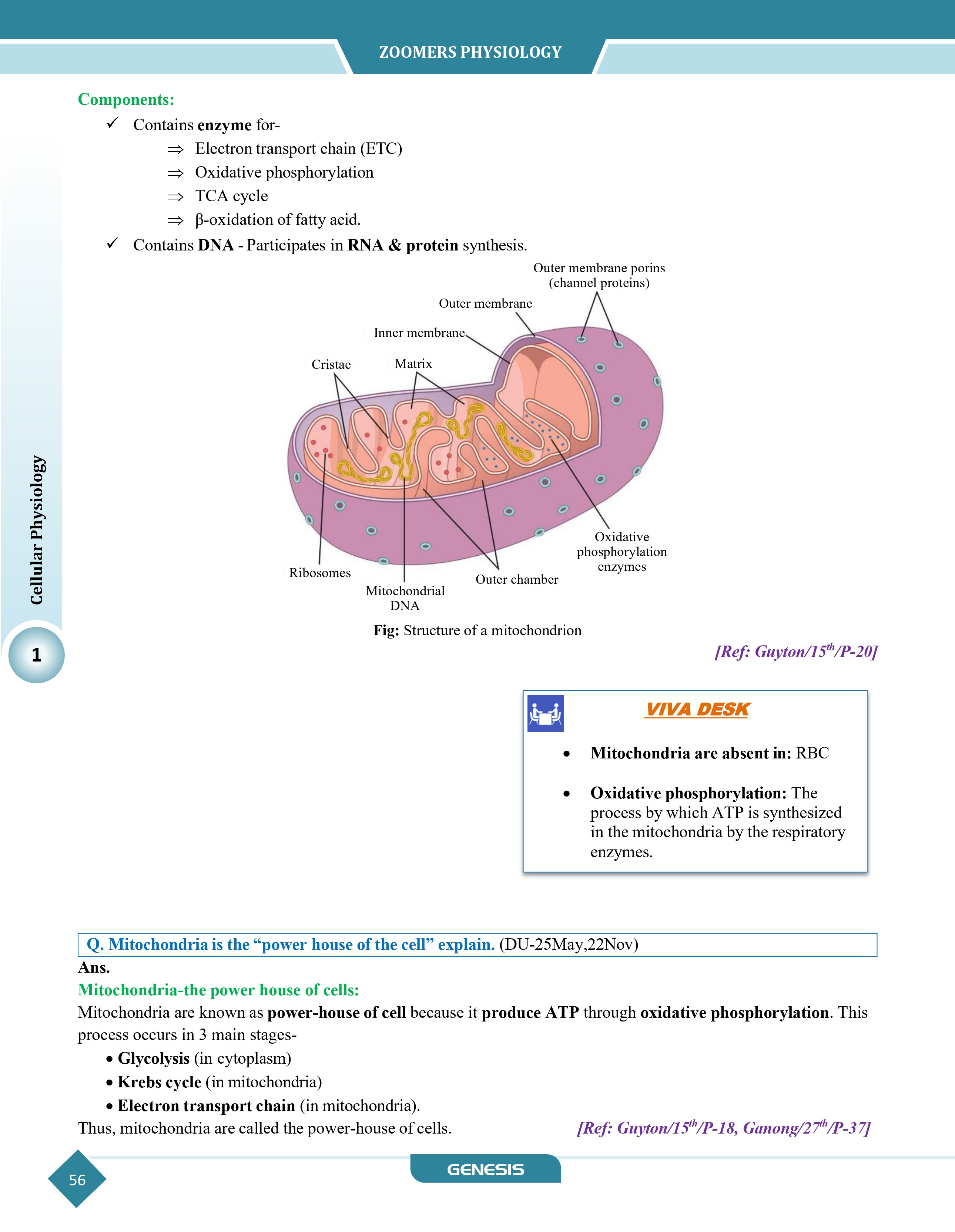 GENESIS Zoomers Physiology (Premium Edition) information image