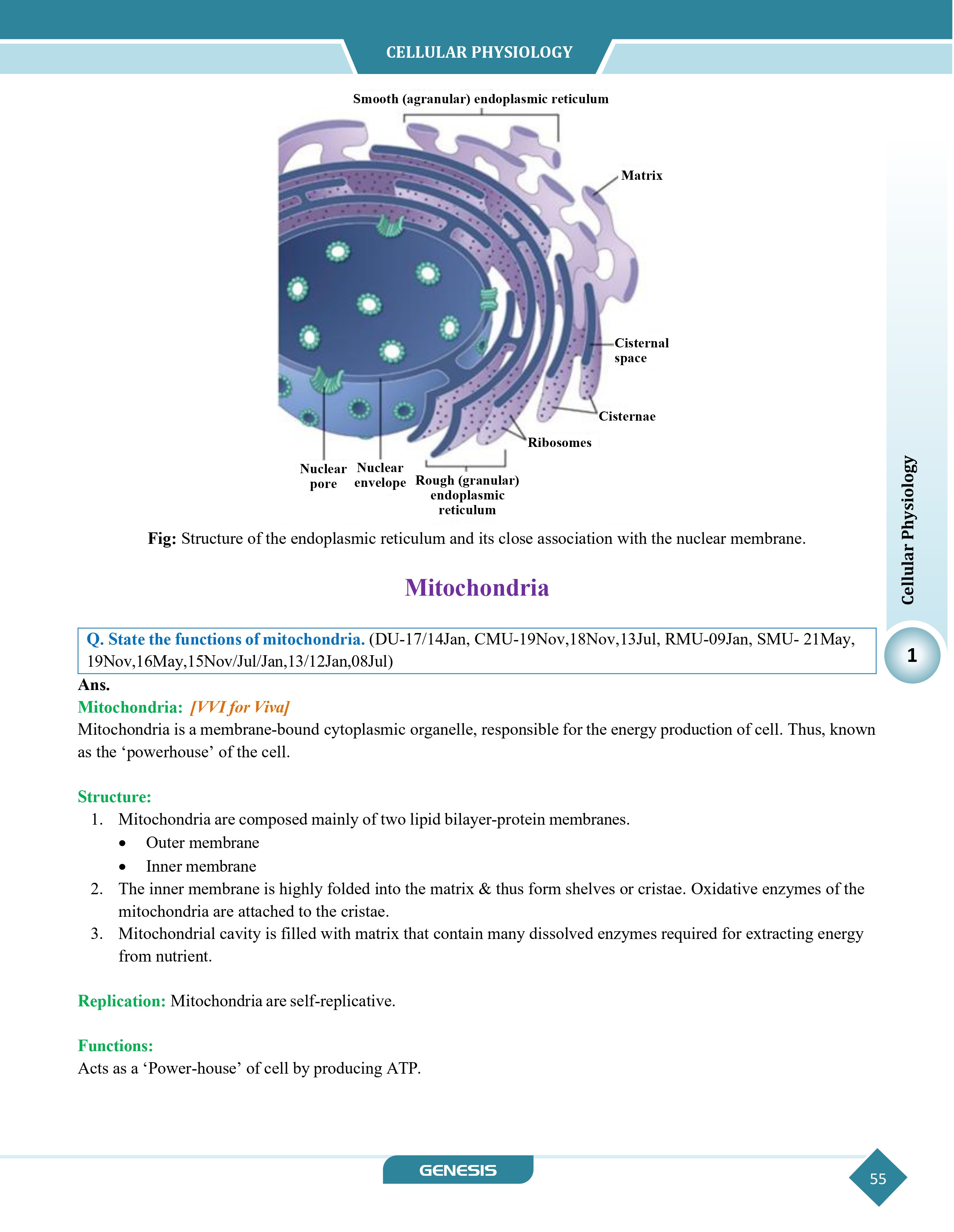 GENESIS Zoomers Physiology (Premium Edition) information image