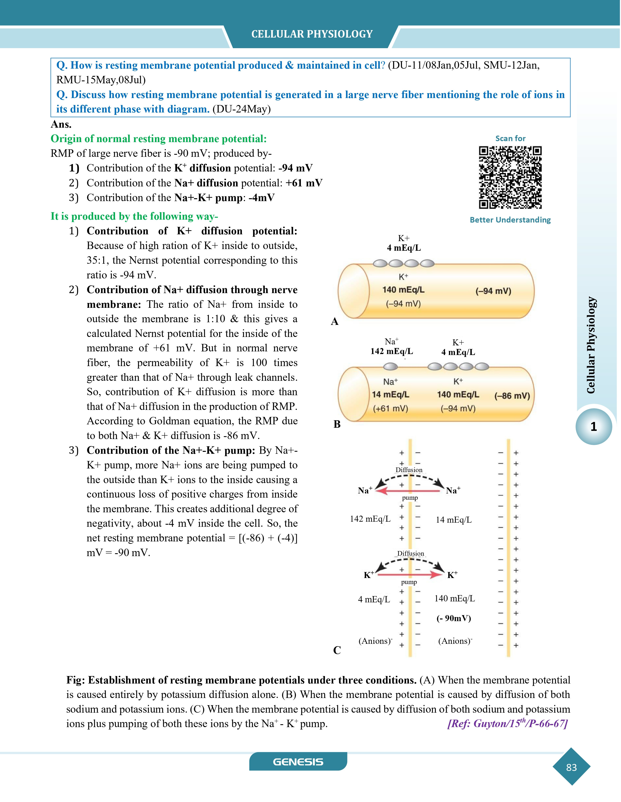 GENESIS Zoomers Physiology (Premium Edition) information image