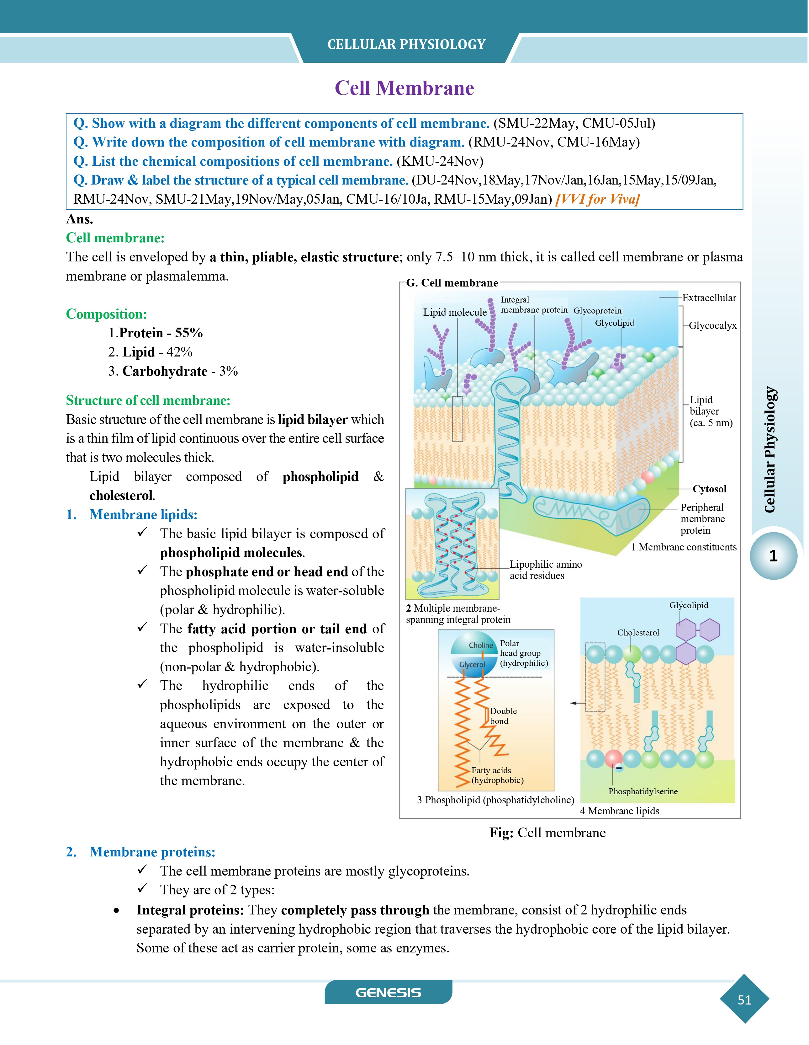 GENESIS Zoomers Physiology (Premium Edition) information image