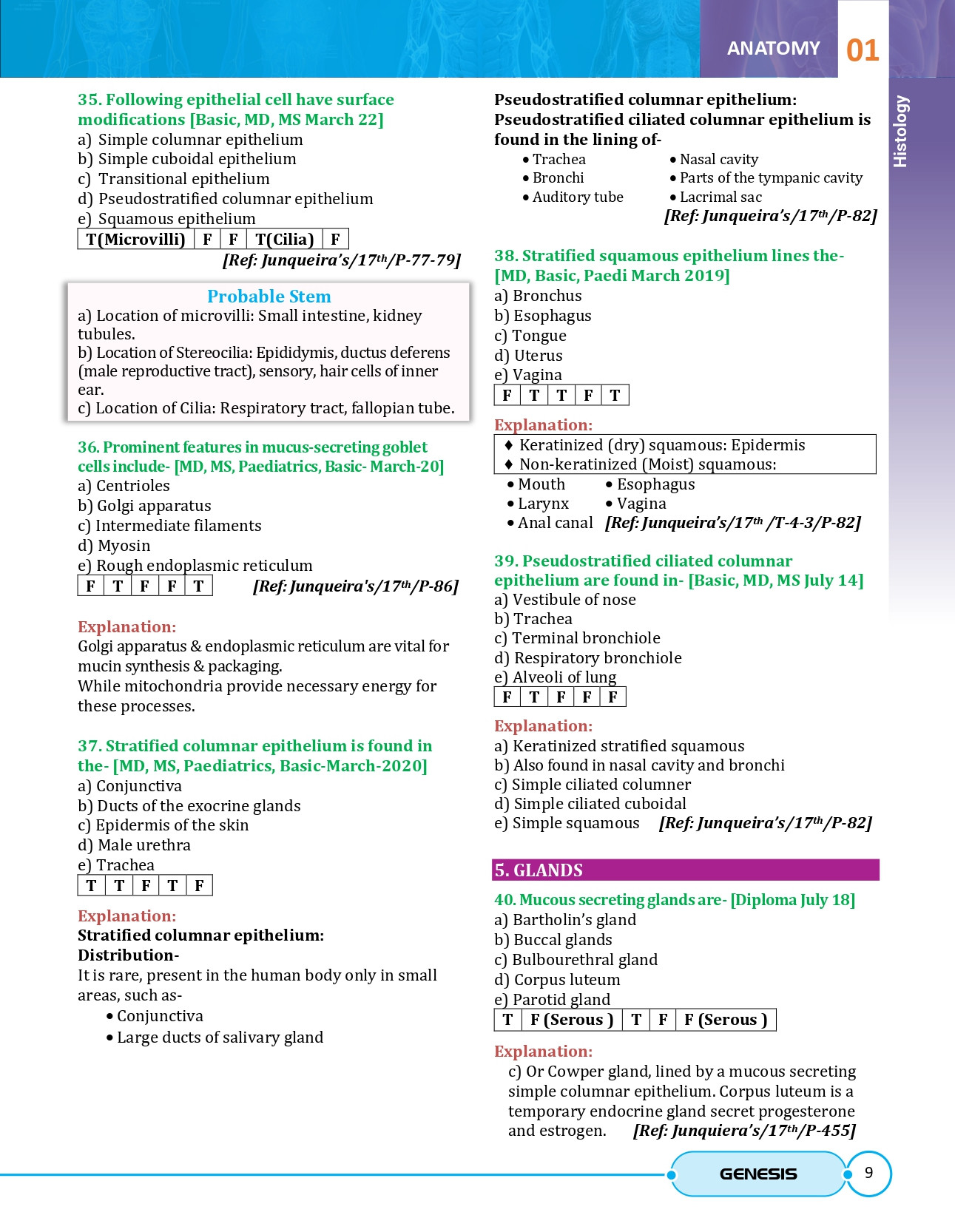 Last Hour Sapphire With Supplement Copy information image