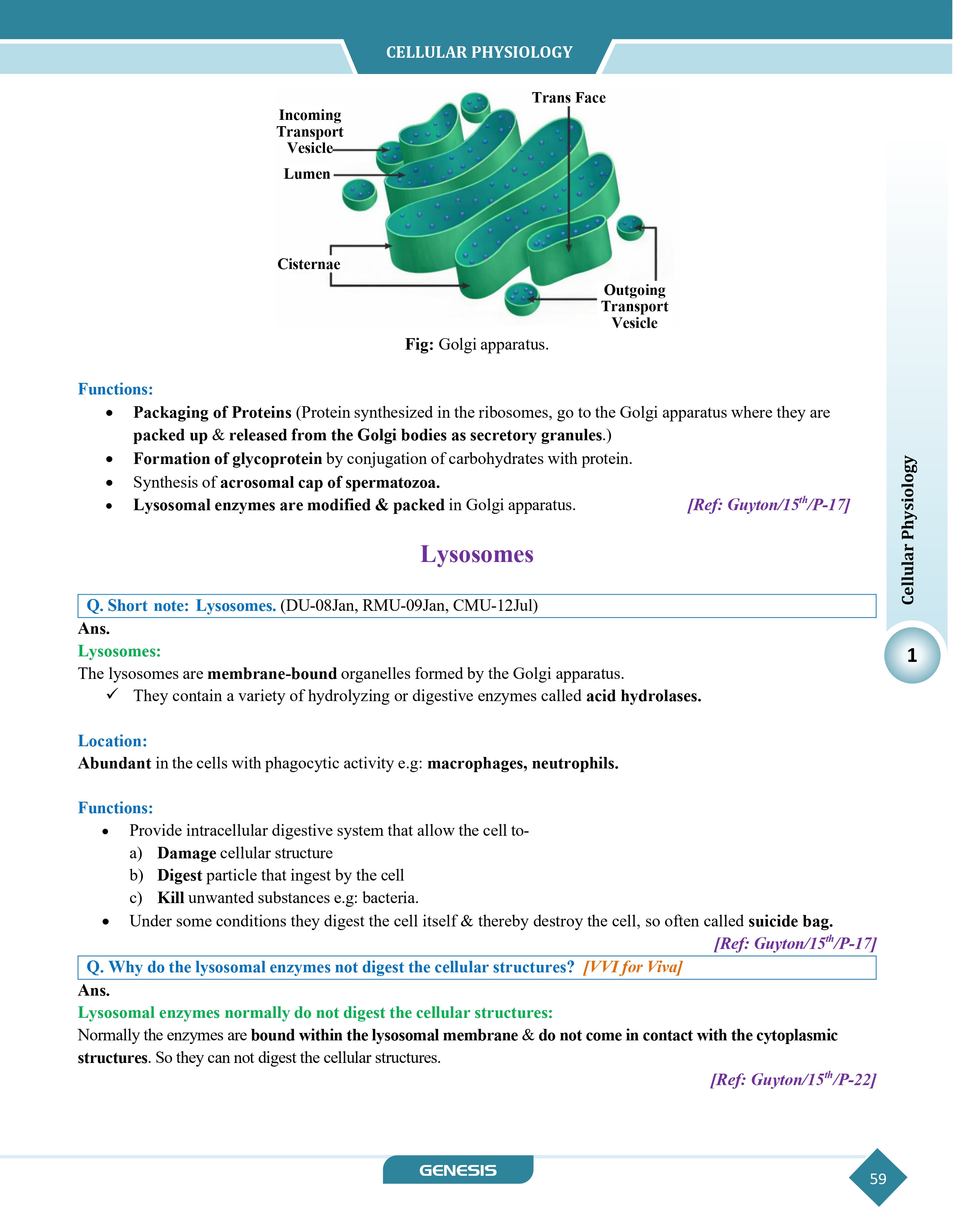 GENESIS Zoomers Physiology (Premium Edition) information image