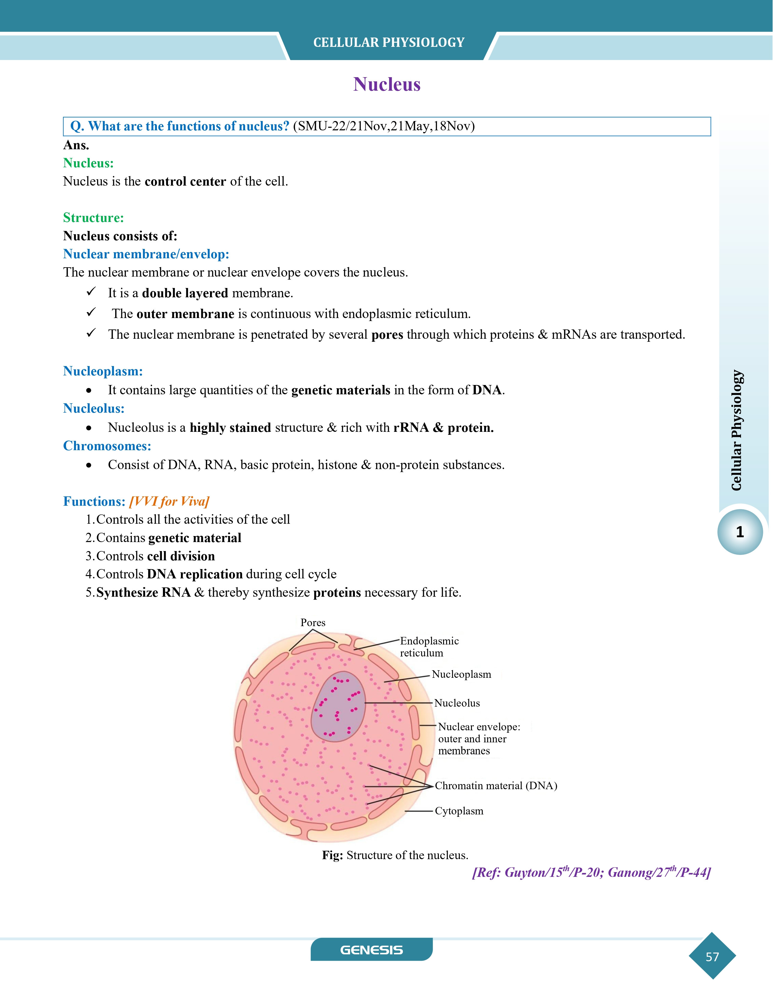GENESIS Zoomers Physiology (Premium Edition) information image