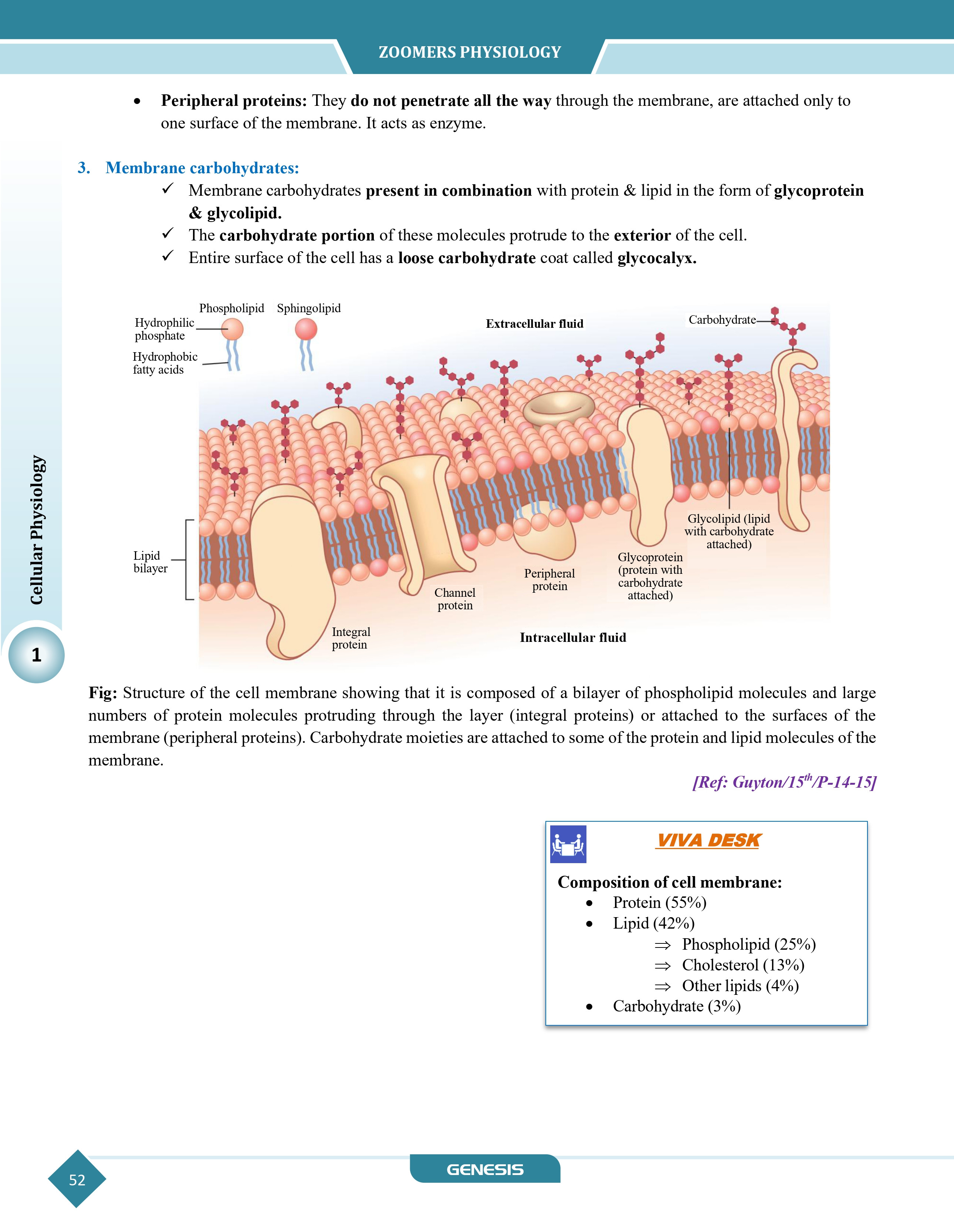 GENESIS Zoomers Physiology (Premium Edition) information image