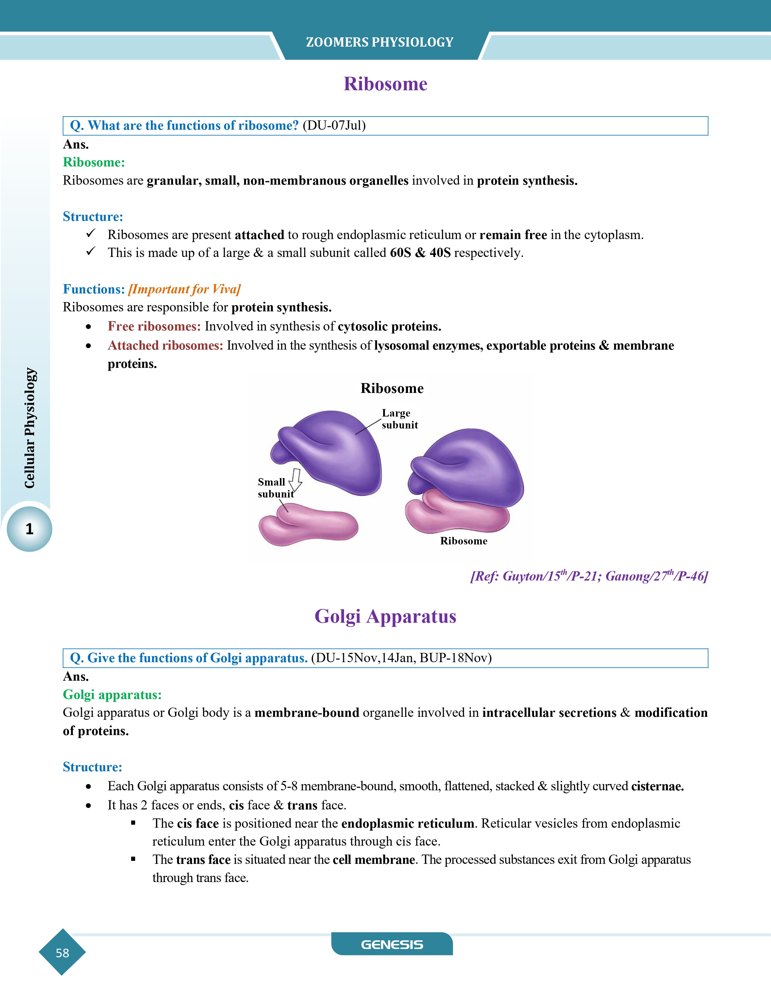 GENESIS Zoomers Physiology (Premium Edition) information image