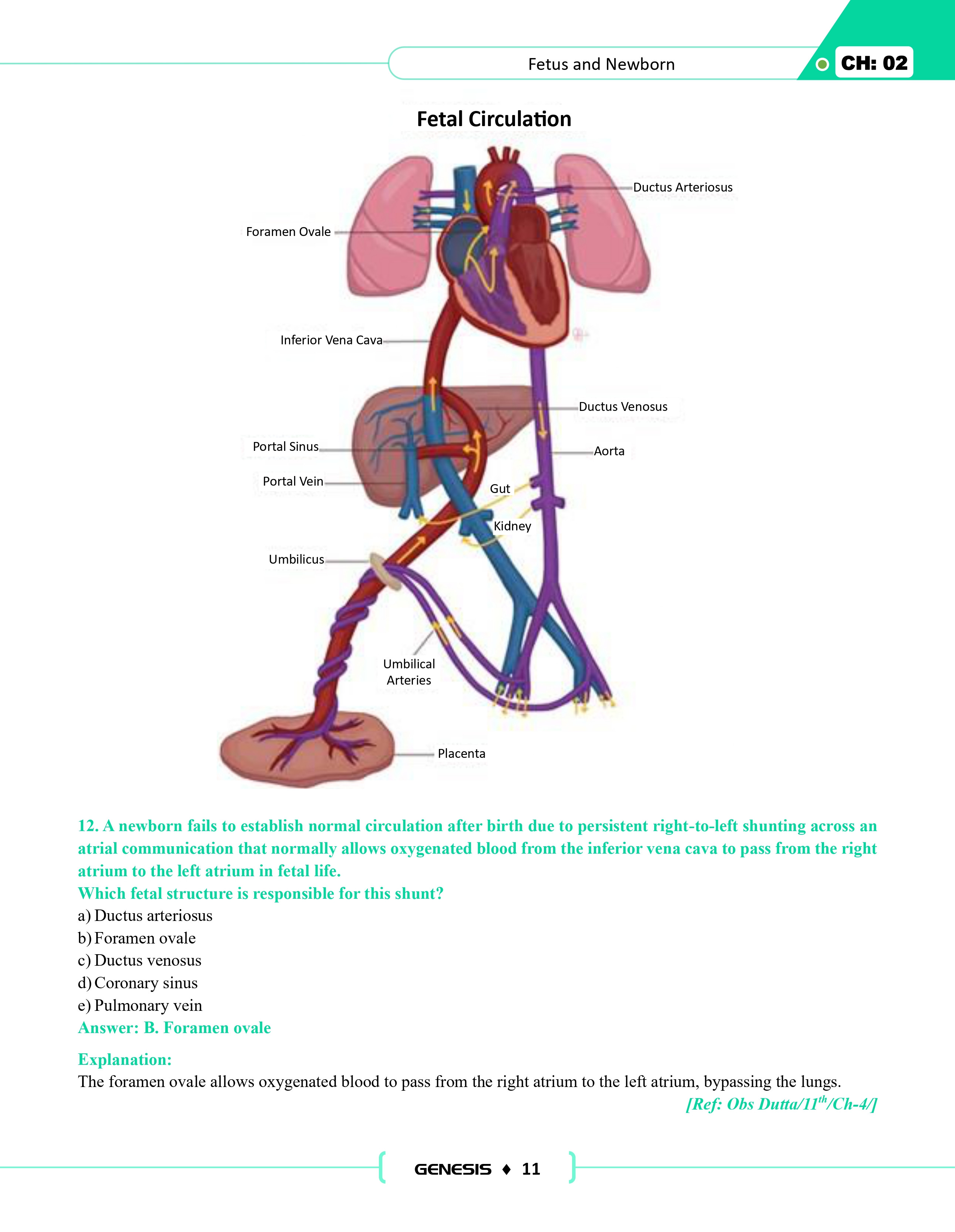 GENESIS SBA GOLD for Midterm (Obstetrics & Gynaecology) information image